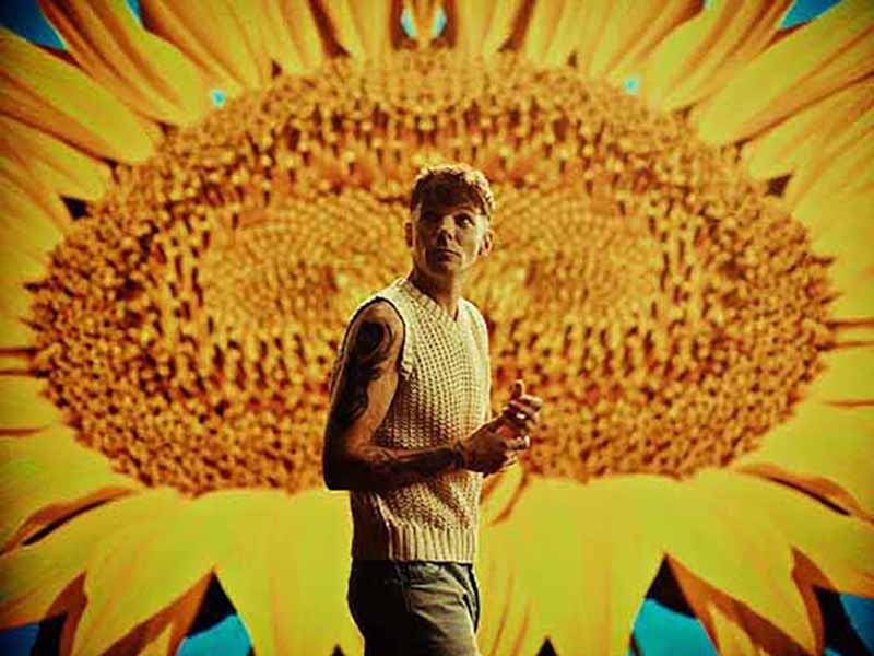 دانلود آهنگ Sunflowers از Louis Tomlinson با متن و ترجمه