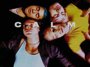 دانلود آهنگ Best Years از 5Seconds of Summer با متن و ترجمه