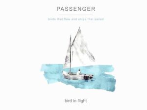دانلود آهنگ Bird in Flight از Passenger با متن و ترجمه