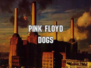 دانلود آهنگ Dogs از Pink Floyd با متن و ترجمه