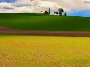 پادکست انگلیسی آمریکایی 008 – بیان برای رفتن به تختخواب