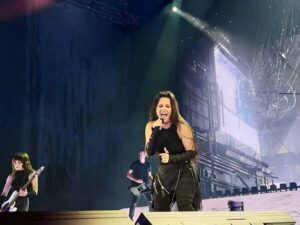 دانلود آهنگ Self Destruct از Evanescence با متن و ترجمه